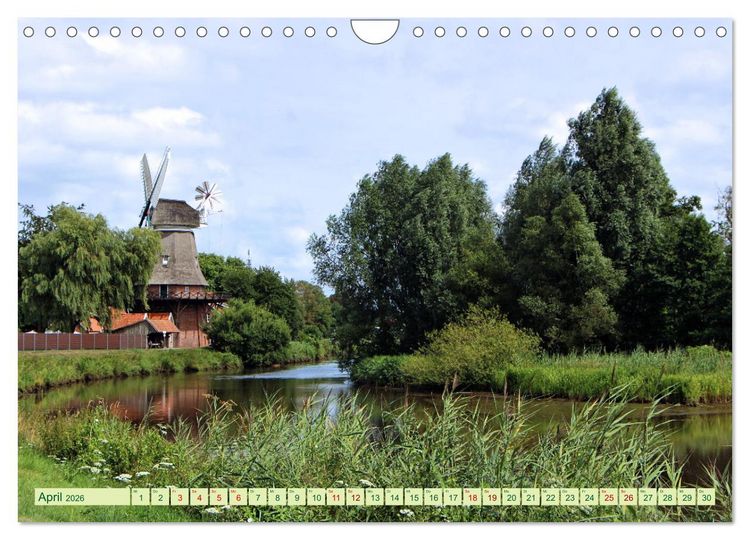 Produktbild: In Apen und umzu (Wandkalender 2026 DIN A4 quer), CALVENDO Monatskalender