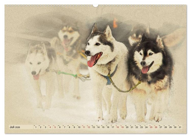 Produktbild: Schlittenhunde 2026 (Wandkalender 2026 DIN A2 quer), CALVENDO Monatskalender