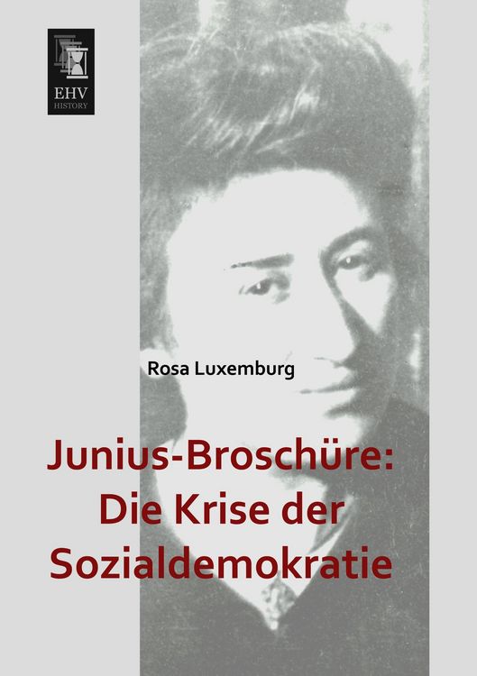 Produktbild: Junius-Brosch&uuml;re: Die Krise der Sozialdemokratie