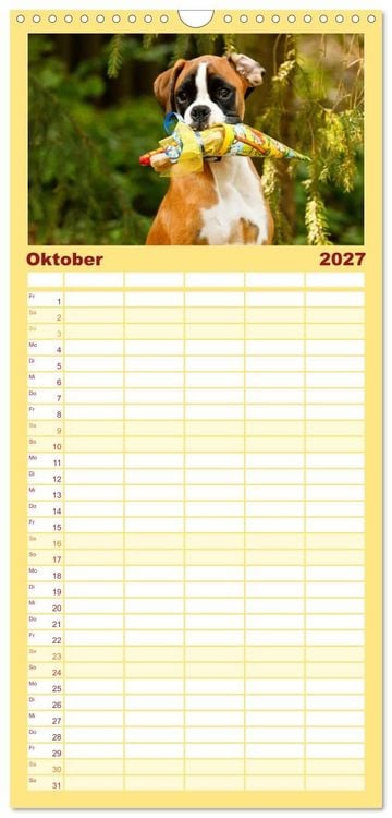 Produktbild: Familienplaner 2027 - Deutscher Boxer 2027 mit 5 Spalten (Wandkalender, 21 x 45 cm) CALVENDO