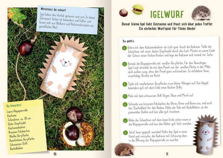 Produktbild: Mein Kastanien-Bastelbuch