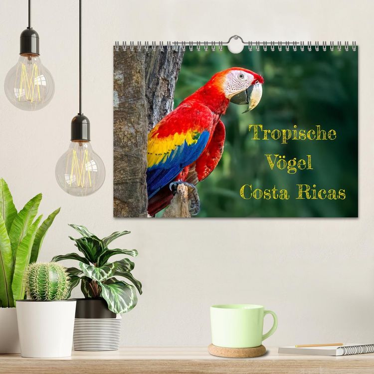 Produktbild: Tropische V&ouml;gel Costa Ricas (Wandkalender 2026 DIN A4 quer), CALVENDO Monatskalender