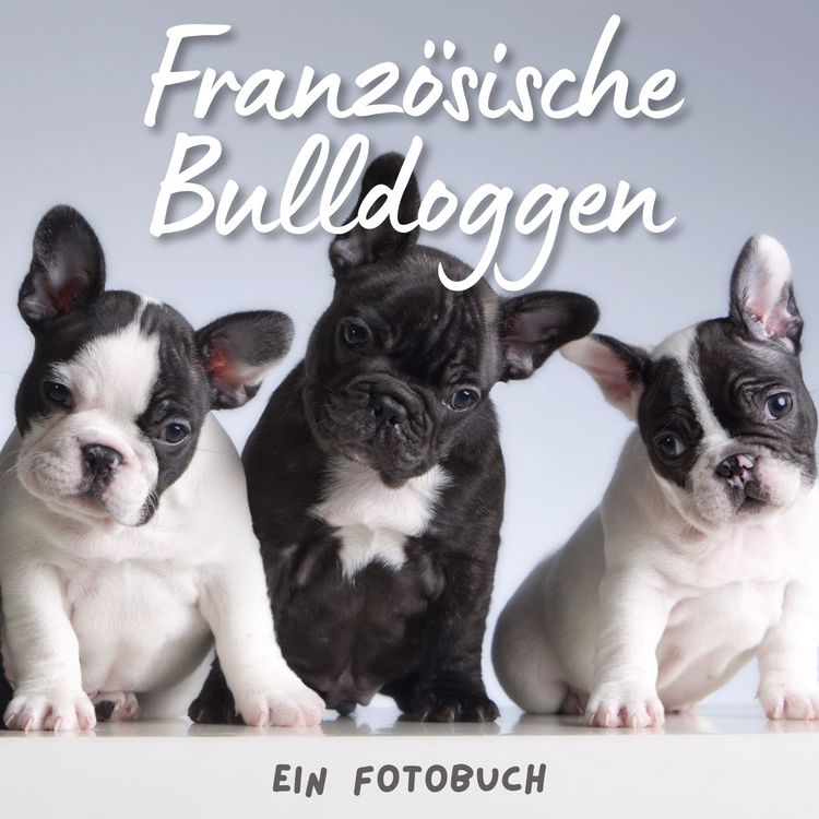 Produktbild: Franz&ouml;sische Bulldoggen