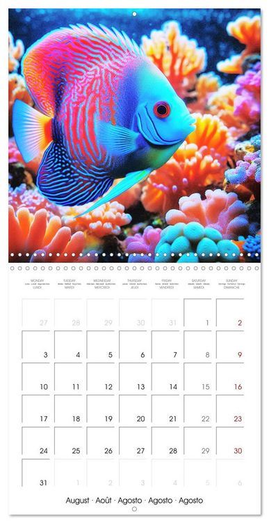 Produktbild: Sea Creatures of the Coral Reefs (Wall Calendar 2026 12 &times; 12 Inch) CALVENDO 12 Month Wall Calendar