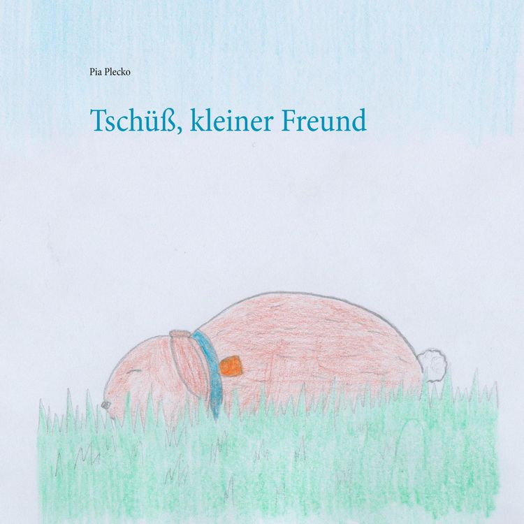 Produktbild: Tsch&uuml;&szlig;, kleiner Freund