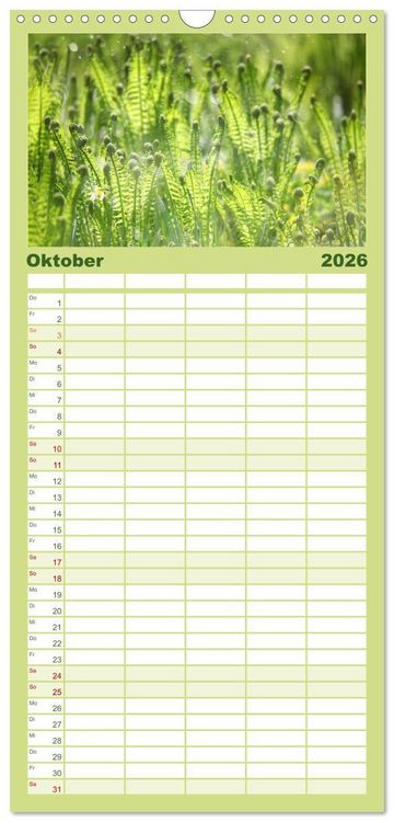 Produktbild: Familienplaner 2026 - 12 Farben Kunst und K&uuml;che mit 5 Spalten (Wandkalender, 21 x 45 cm) CALVENDO