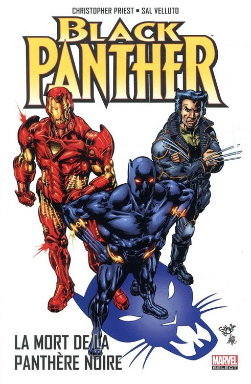 Produktbild: Black Panther