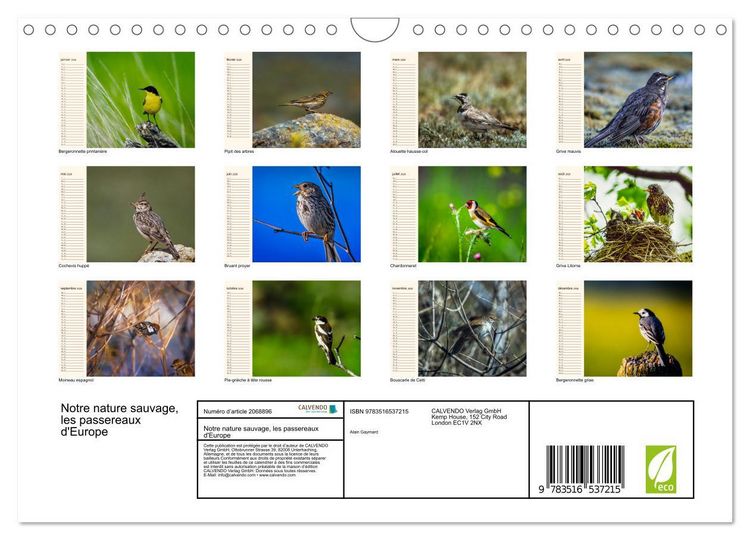 Produktbild: Notre nature sauvage, les passereaux d'Europe (Calendrier mural 2026 DIN A4 vertical), CALVENDO calendrier mensuel