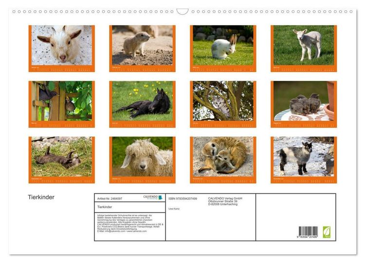 Produktbild: Tierkinder (Wandkalender 2027 DIN A2 quer), CALVENDO Monatskalender