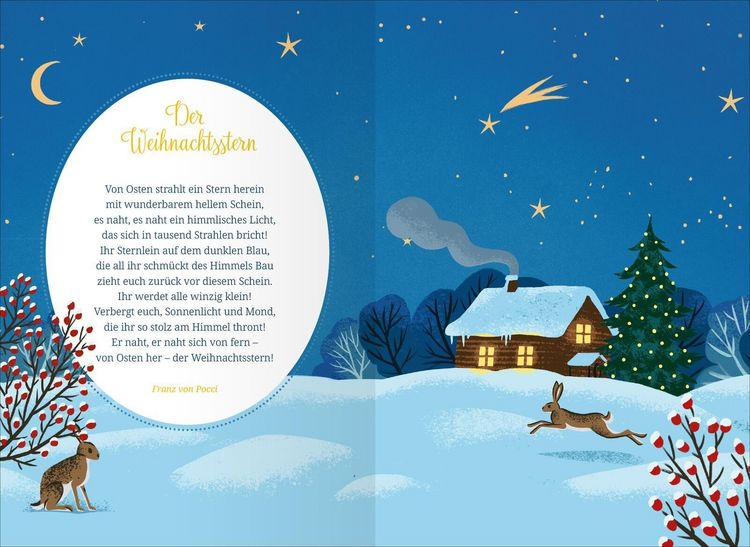 Produktbild: Winternacht und Schneegefl&uuml;ster