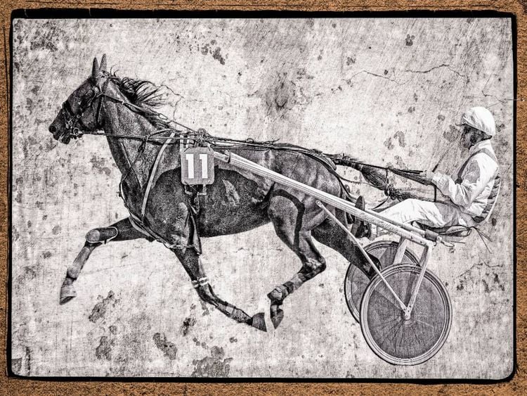 Produktbild: CALVENDO Puzzle Sulky | 1000 Teile Lege-Gr&ouml;&szlig;e 64x48cm Foto-Puzzle f&uuml;r gl&uuml;ckliche Stunden