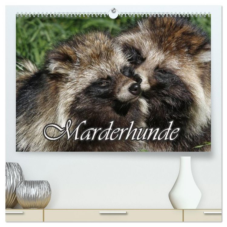Produktbild: Marderhunde (hochwertiger Premium Wandkalender 2026 DIN A2 quer), Kunstdruck in Hochglanz