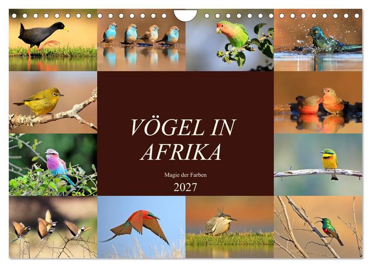 Produktbild: V&ouml;gel in Afrika - Magie der Farben (Wandkalender 2027 DIN A4 quer), CALVENDO Monatskalender