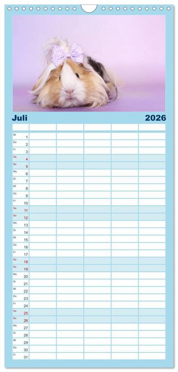 Produktbild: Familienplaner 2026 - Niedliche Meerschweinchen mit 5 Spalten (Wandkalender, 21 x 45 cm) CALVENDO