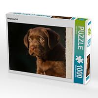 Produktbild: CALVENDO Puzzle Welpenportr&auml;t | 1000 Teile Lege-Gr&ouml;&szlig;e 64x48cm Foto-Puzzle f&uuml;r gl&uuml;ckliche Stunden