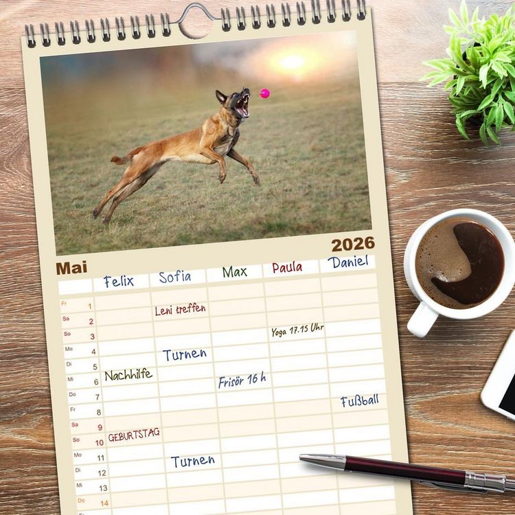 Produktbild: Familienplaner 2026 - Mit dem Malinois durch das Jahr mit 5 Spalten (Wandkalender, 21 x 45 cm) CALVENDO