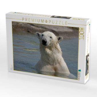 Produktbild: CALVENDO Puzzle Eisb&auml;r | 1000 Teile Lege-Gr&ouml;&szlig;e 64x48cm Foto-Puzzle f&uuml;r gl&uuml;ckliche Stunden