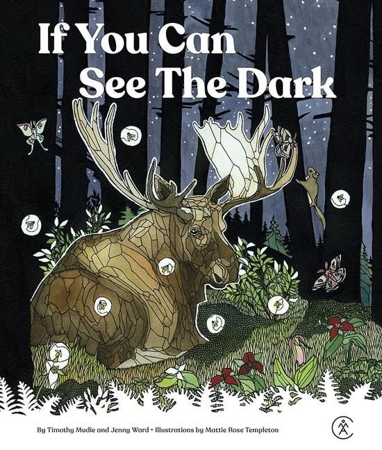 Produktbild: If You Can See the Dark