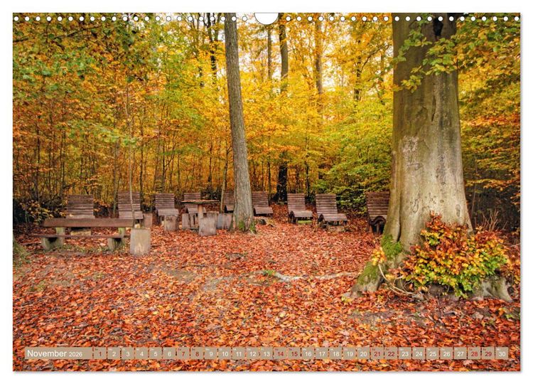 Produktbild: Der Wald - Ort der Ruhe und Besinnung (Wandkalender 2026 DIN A3 quer), CALVENDO Monatskalender