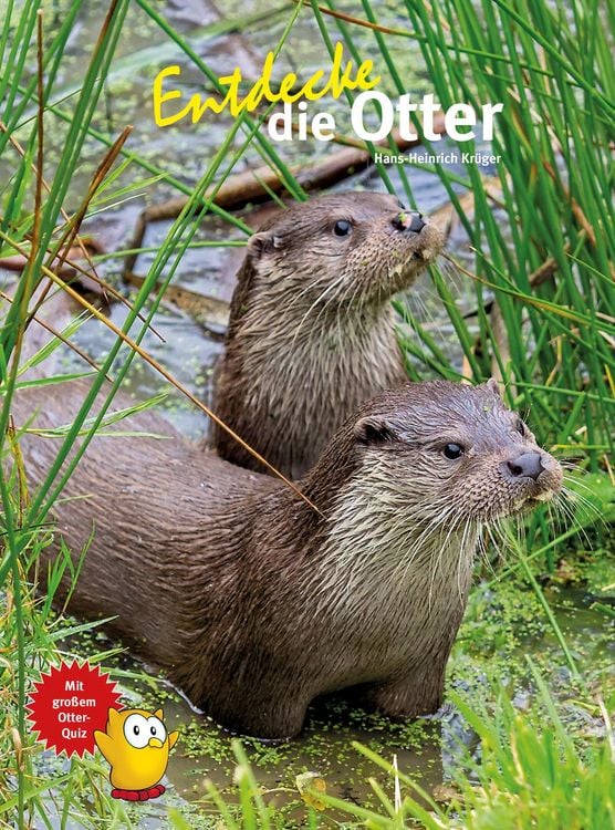 Produktbild: Entdecke die Otter
