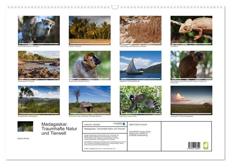Produktbild: Madagaskar. Traumhafte Natur und Tierwelt (Wandkalender 2026 DIN A2 quer), CALVENDO Monatskalender