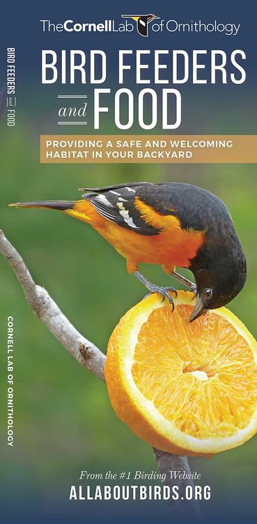 Produktbild: Bird Feeders and Food
