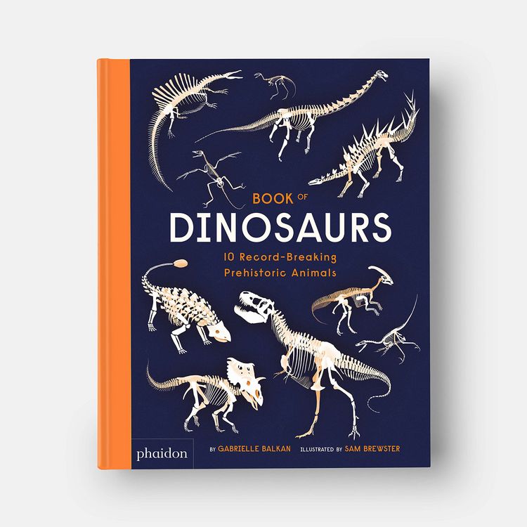 Produktbild: Book of Dinosaurs