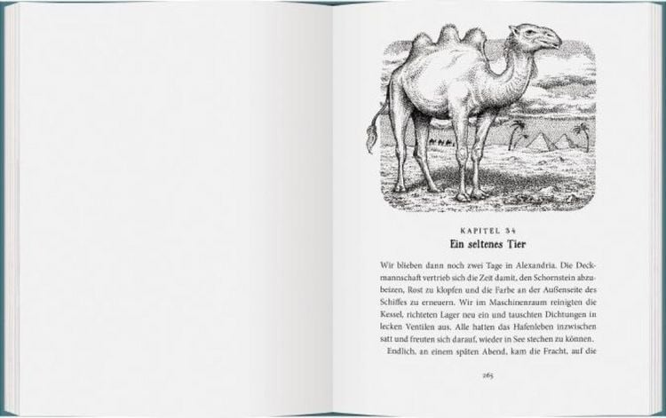 Produktbild: Sally Jones - Mord ohne Leiche
