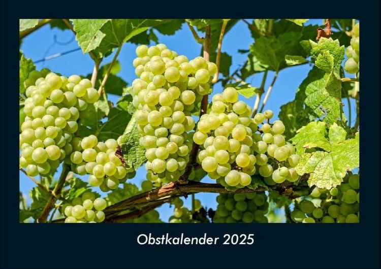 Produktbild: Obstkalender 2025 Fotokalender DIN A4