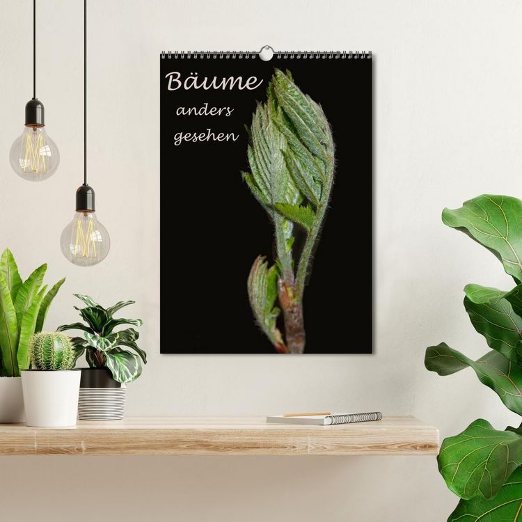 Produktbild: B&auml;ume anders gesehen (Wandkalender 2026 DIN A3 hoch), CALVENDO Monatskalender