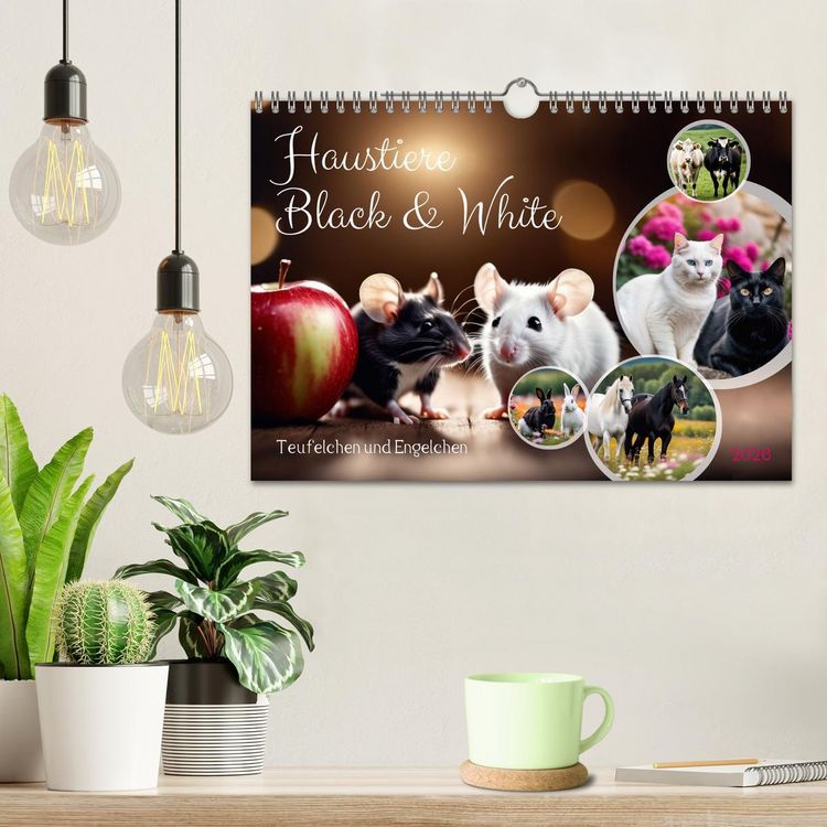 Produktbild: Haustiere - Black and White (Wandkalender 2026 DIN A4 quer), CALVENDO Monatskalender