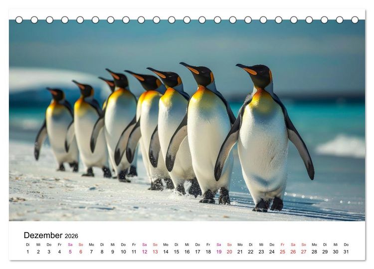 Produktbild: Maritim pur - Pinguine (Tischkalender 2026 DIN A5 quer), CALVENDO Monatskalender