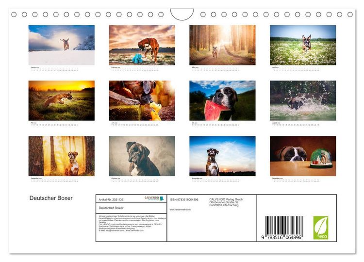 Produktbild: Deutscher Boxer (Wandkalender 2026 DIN A4 quer), CALVENDO Monatskalender