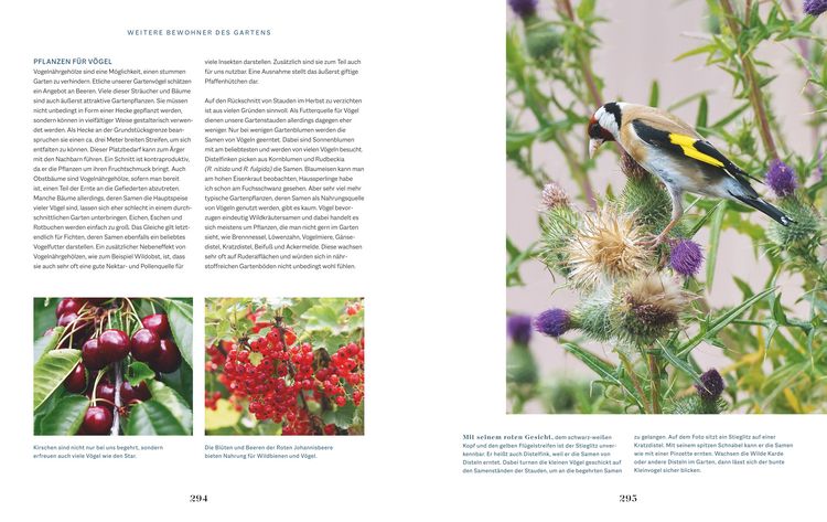 Produktbild: Die Welt in meinem Garten