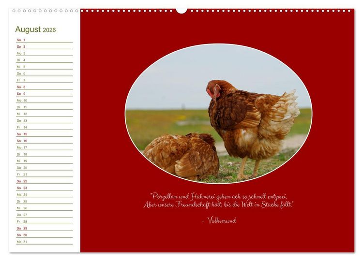 Produktbild: Freilaufende H&uuml;hner (hochwertiger Premium Wandkalender 2026 DIN A2 quer), Kunstdruck in Hochglanz