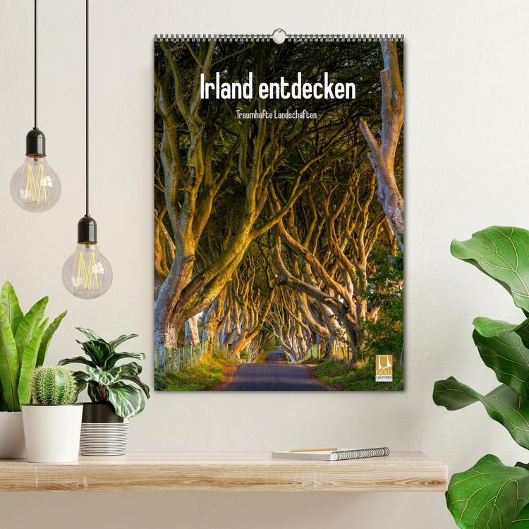 Produktbild: Irland entdecken (Wandkalender 2026 DIN A2 hoch), CALVENDO Monatskalender