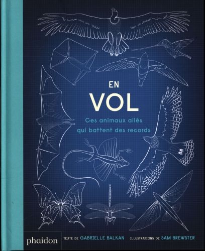 Produktbild: En vol : ces animaux ail&eacute;s qui battent des records