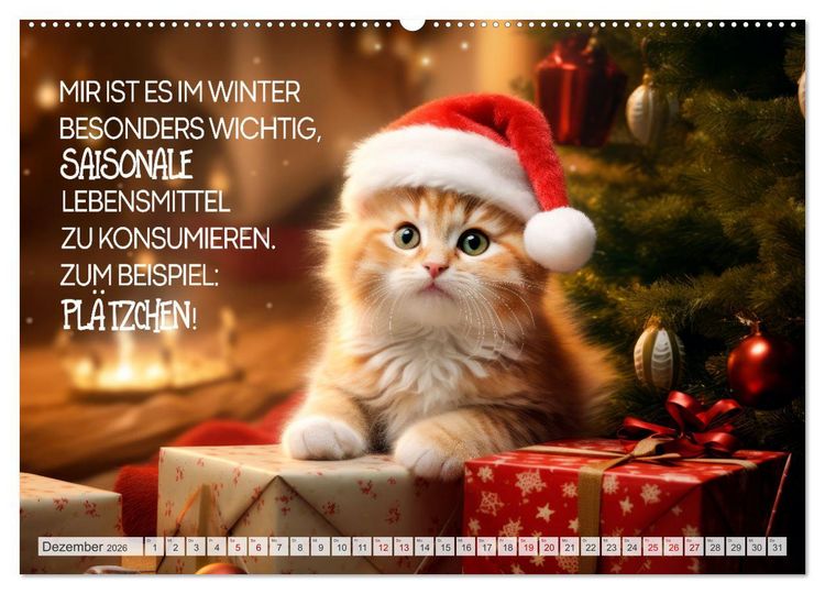 Produktbild: S&uuml;&szlig;e Katzen und coole Spr&uuml;che (hochwertiger Premium Wandkalender 2026 DIN A2 quer), Kunstdruck in Hochglanz