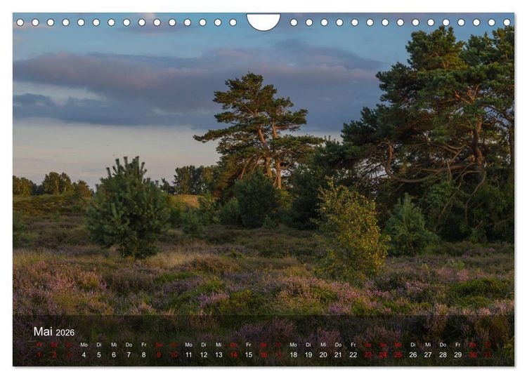 Produktbild: Insel Hiddensee - Wildromantisch unber&uuml;hrt (Wandkalender 2026 DIN A4 quer), CALVENDO Monatskalender