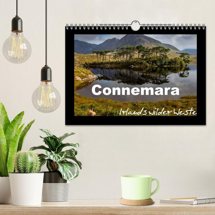 Produktbild: Connemara - Irlands wilder Westen (Wandkalender 2026 DIN A4 quer), CALVENDO Monatskalender