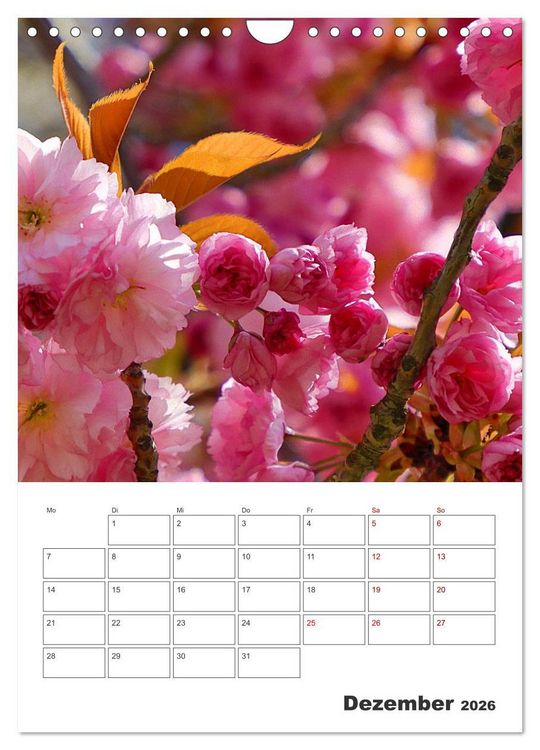 Produktbild: BL&Uuml;TENZAUBER (Wandkalender 2026 DIN A4 hoch), CALVENDO Monatskalender