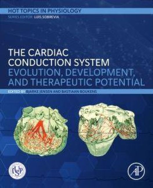 Produktbild: The Cardiac Conduction System