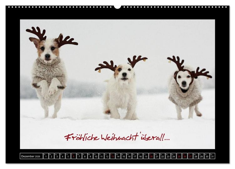 Produktbild: Parson Russell Terrier (hochwertiger Premium Wandkalender 2026 DIN A2 quer), Kunstdruck in Hochglanz
