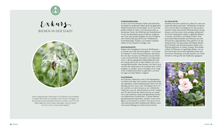 Produktbild: Mein Biobalkon