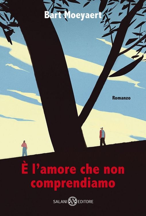 Produktbild: &Egrave; l'amore che non comprendiamo