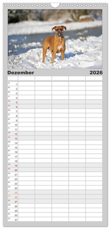 Produktbild: Familienplaner 2026 - Gut - besser - Boxer mit 5 Spalten (Wandkalender, 21 x 45 cm) CALVENDO