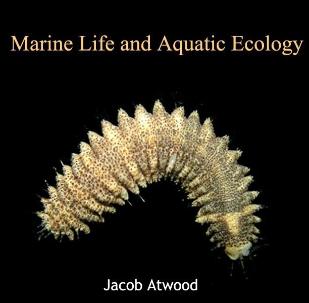Produktbild: Marine Life and Aquatic Ecology