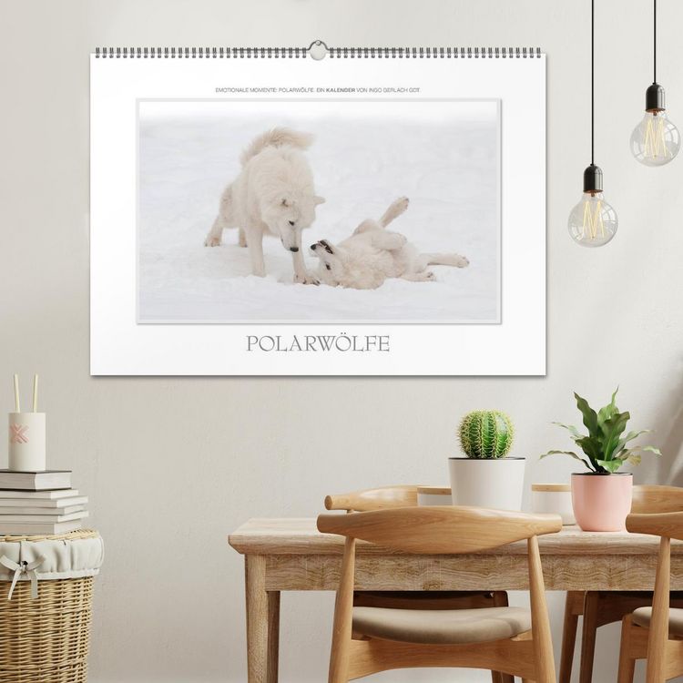 Produktbild: Emotionale Momente: Polarw&ouml;lfe. / CH-Version (Wandkalender 2026 DIN A2 quer), CALVENDO Monatskalender