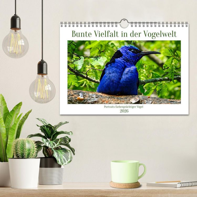 Produktbild: Bunte Vielfalt in der Vogelwelt (Wandkalender 2026 DIN A4 quer), CALVENDO Monatskalender
