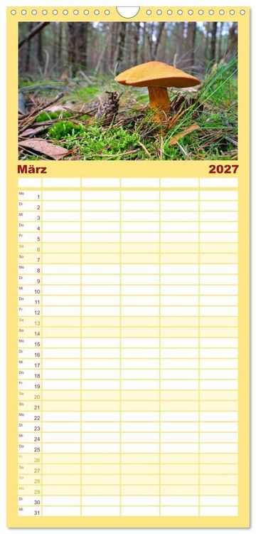 Produktbild: Familienplaner 2027 - Heimische Pilze mit 5 Spalten (Wandkalender, 21 x 45 cm) CALVENDO